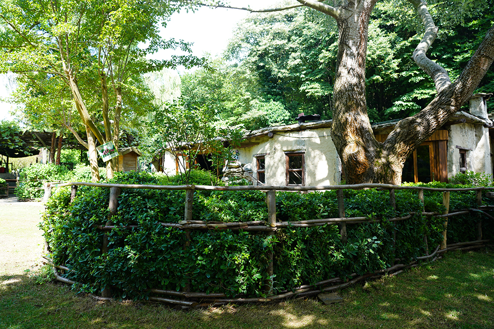 Beykoz Doğa - Kümbet