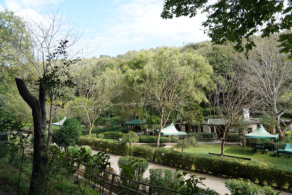 Beykoz Doğa - Kümbet