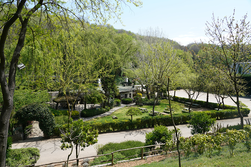Beykoz Doğa - Kümbet