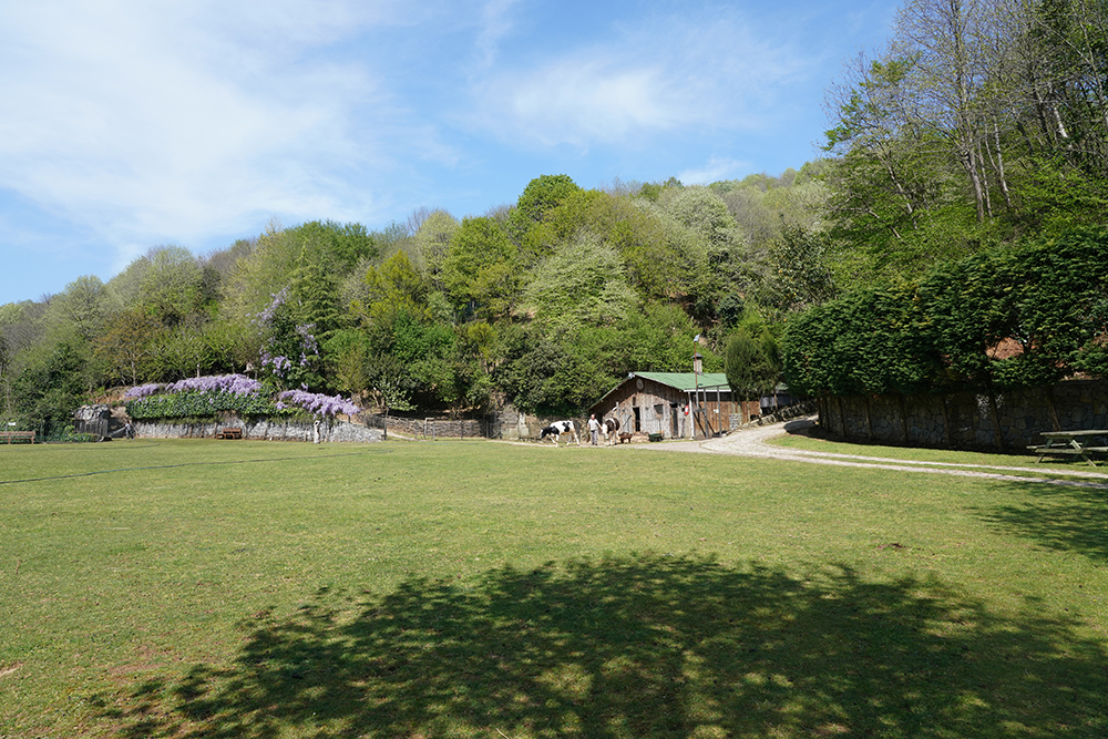 Beykoz Doğa - Üst Çim Alan
