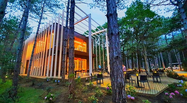 Longosphere - FoodAndWood Restaurant